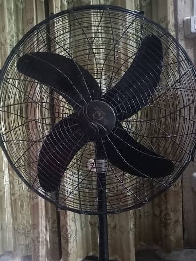 fan for sale