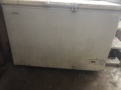 Haier Full size single door D freezer Good Working