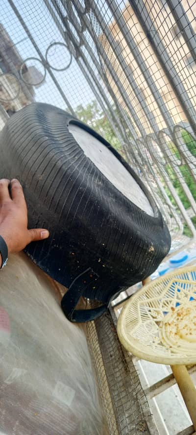 Cow Feeding pot
