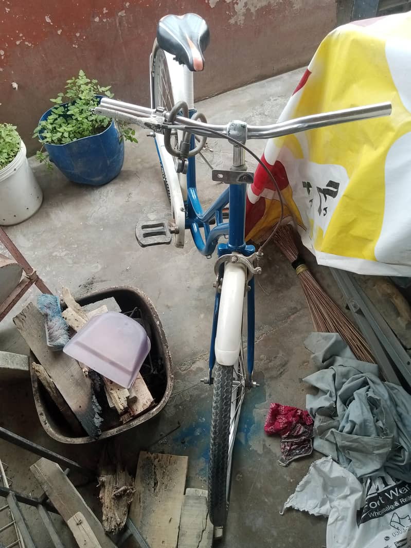 bicycle 2