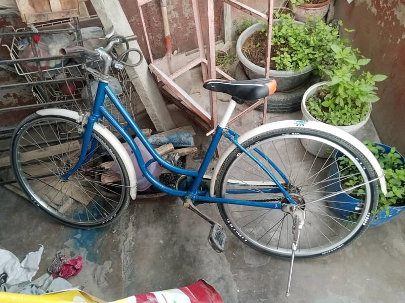bicycle 6