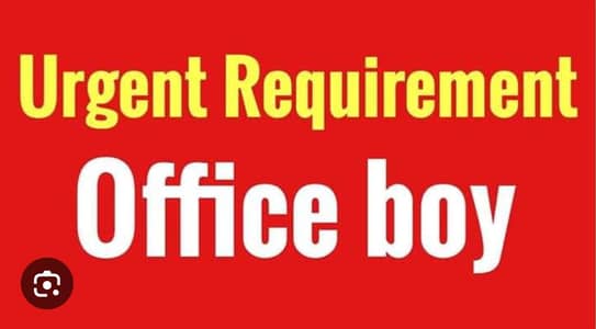 required office boy