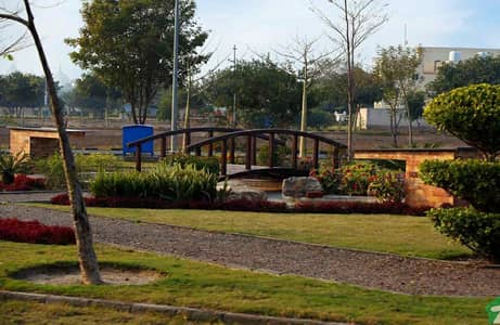 5 MARLA ONGROUND PLOT INCLUDED DEVELOPMENT CHARGES AVAILABLE FOR SALE AT LOWEST PRICE IN NLC