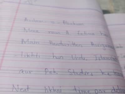 assignment /hand written work