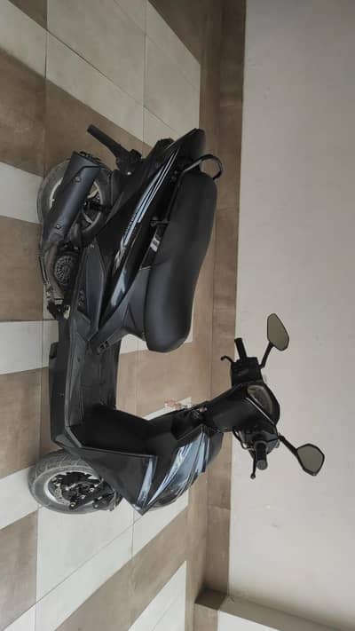 Tiger scootey