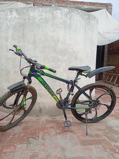 mountain cycle with 10gears full size 10/10 condition unwashed hy