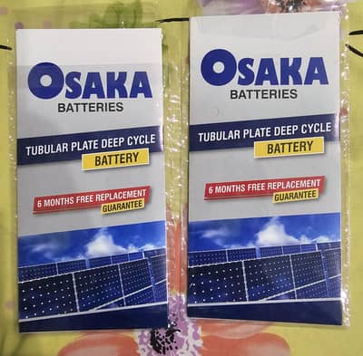 Osaka 200AH Tubular Batteries (2 Pcs. ) for Sale – Excellent Condition