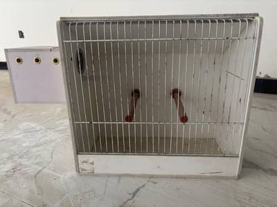 Beautiful Show cages wiith breeding box installed