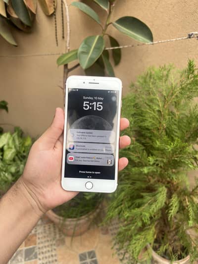 I phone 8 plus