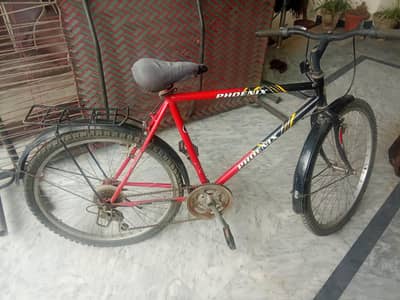 Phoenix Bicycle