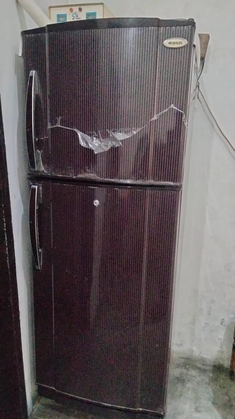 frige 1
