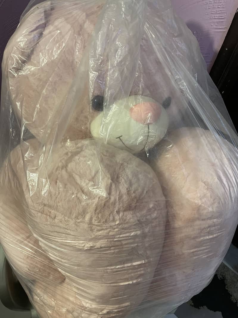 Teddy bear 0