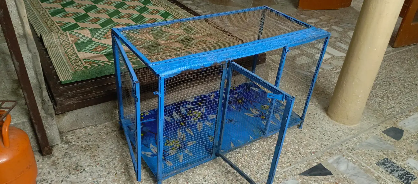 new cage — photo 3