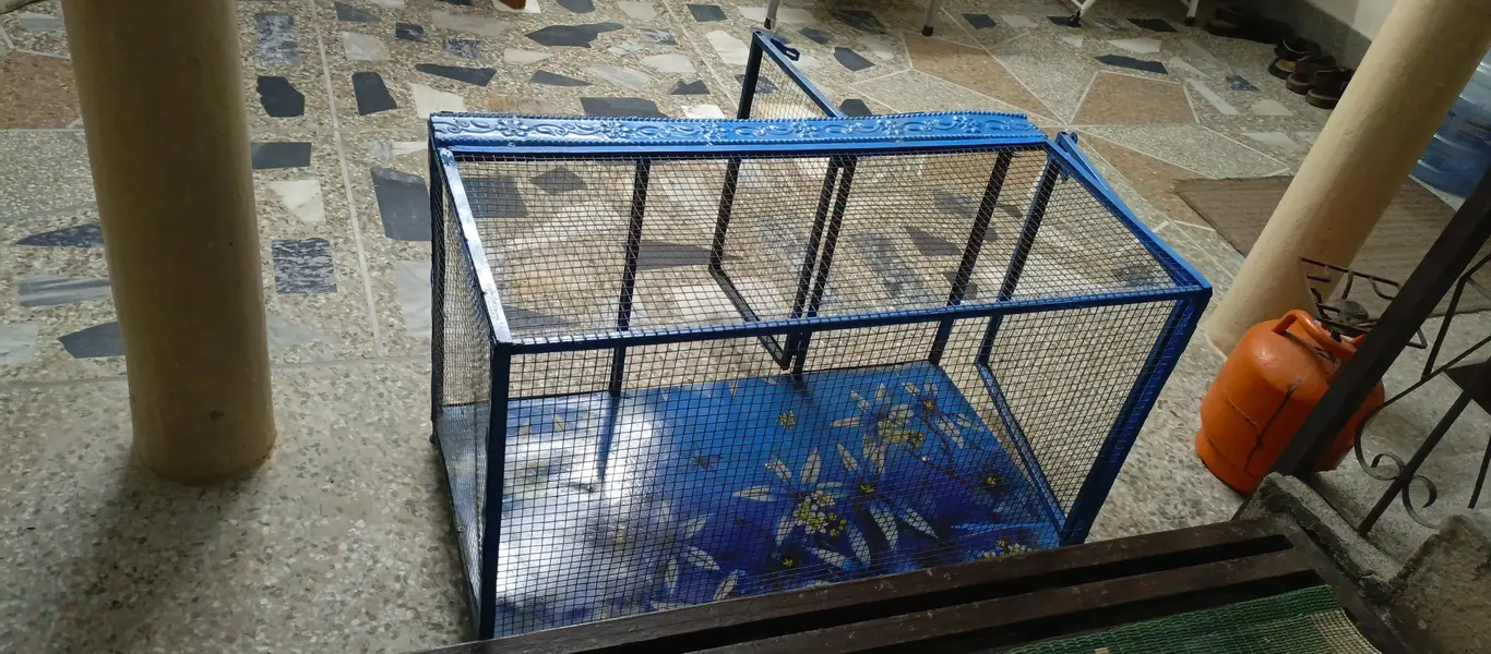 new cage — photo 4
