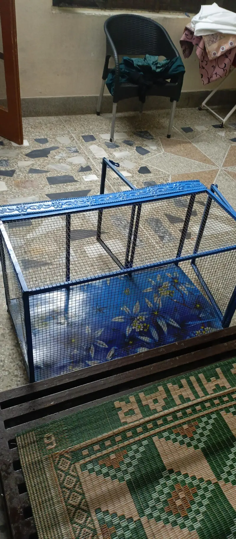 new cage — photo 6
