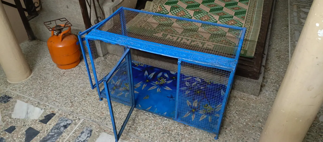 new cage — photo 8