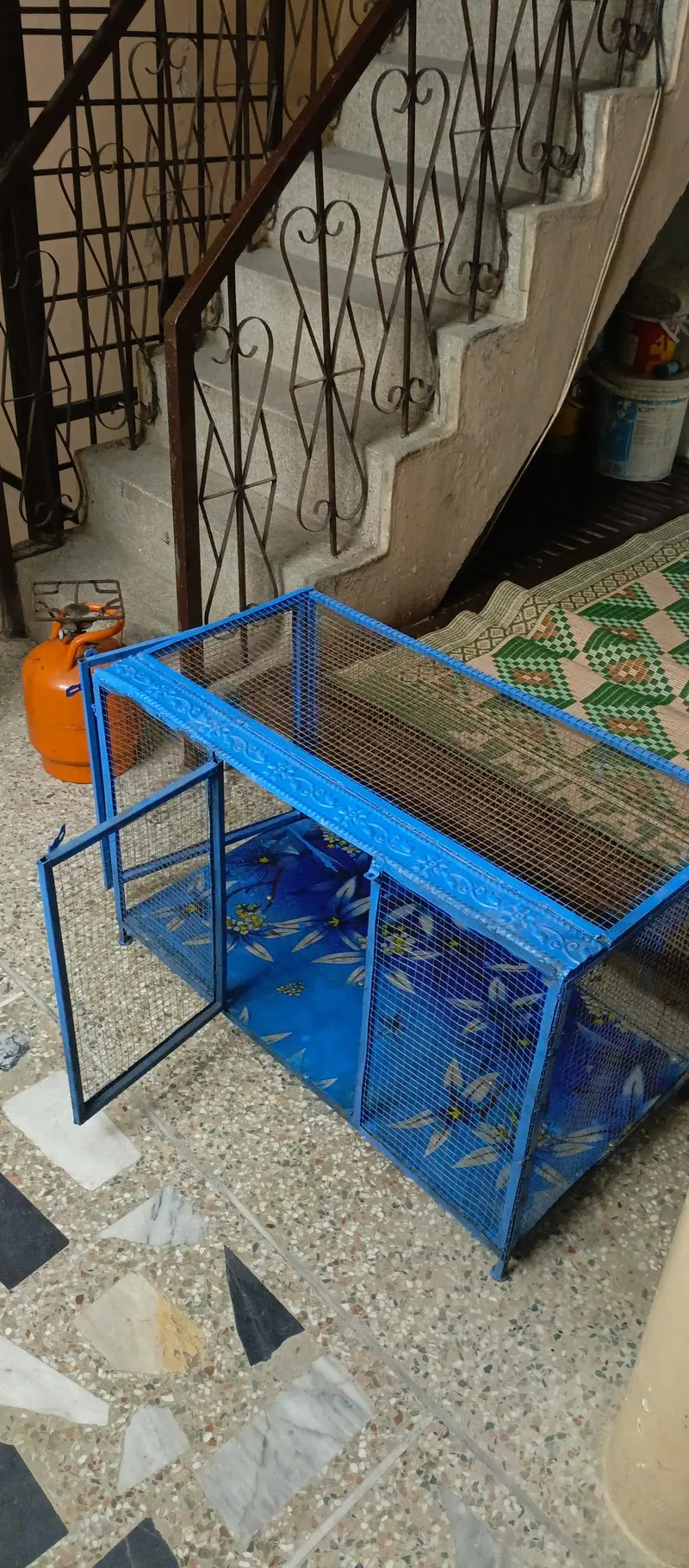 new cage — photo 9