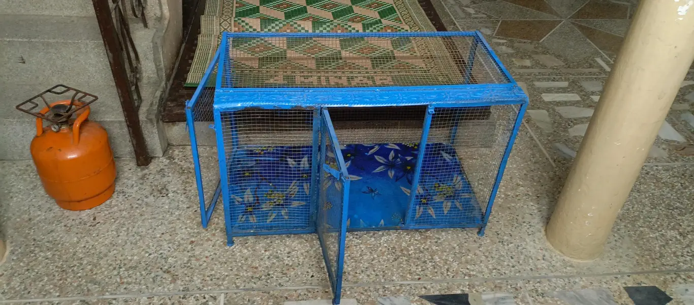 new cage — photo 10