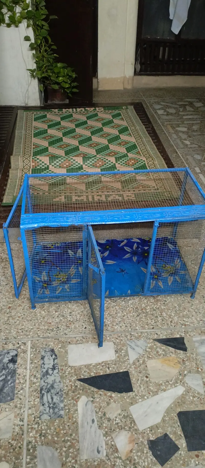 new cage — photo 11