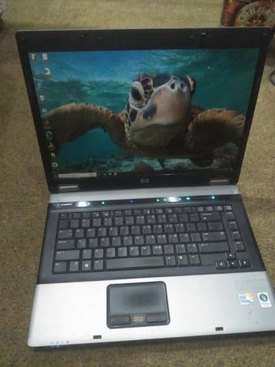 HP 100% ok laptop for urgent sale all ok no any fault 10 by 9 condtion