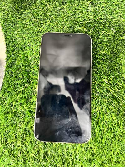iPhone 12 pro Max 256 GB panel change Lana vala raabta Karen