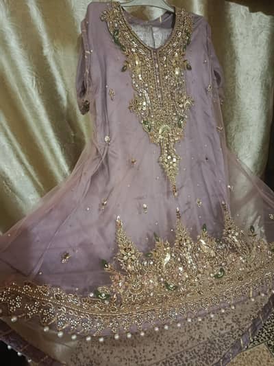fancy embroidery  dress