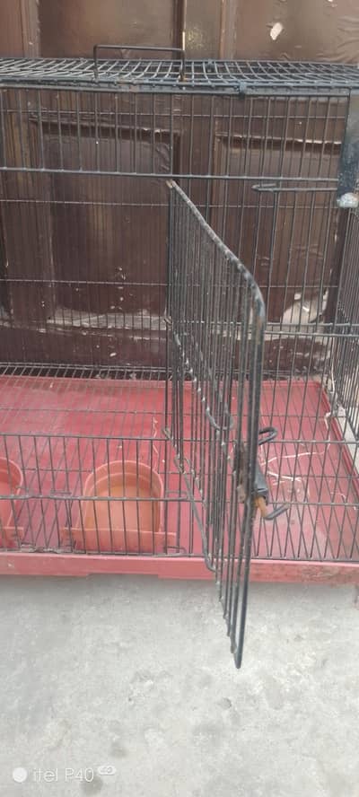 کبوتر طوطے کا مضبوط صاف ستھرا پنجرہ