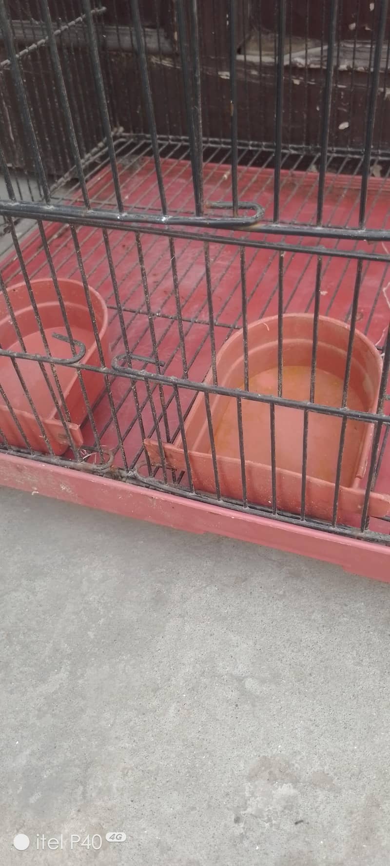 کبوتر طوطے کا مضبوط صاف ستھرا پنجرہ 2