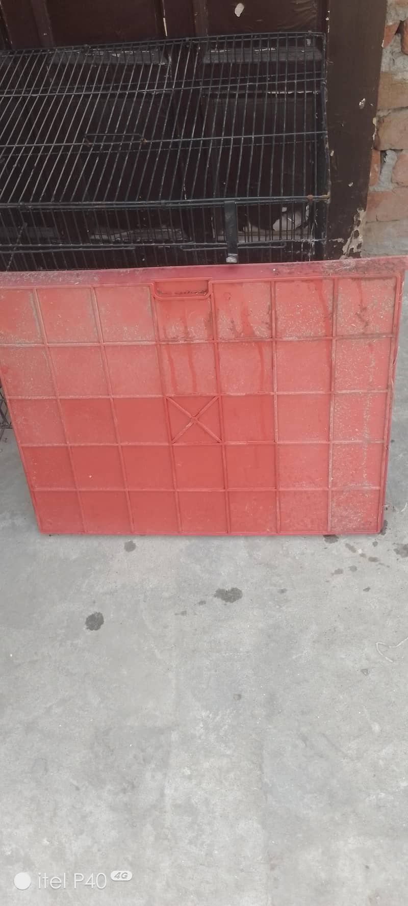 کبوتر طوطے کا مضبوط صاف ستھرا پنجرہ 3