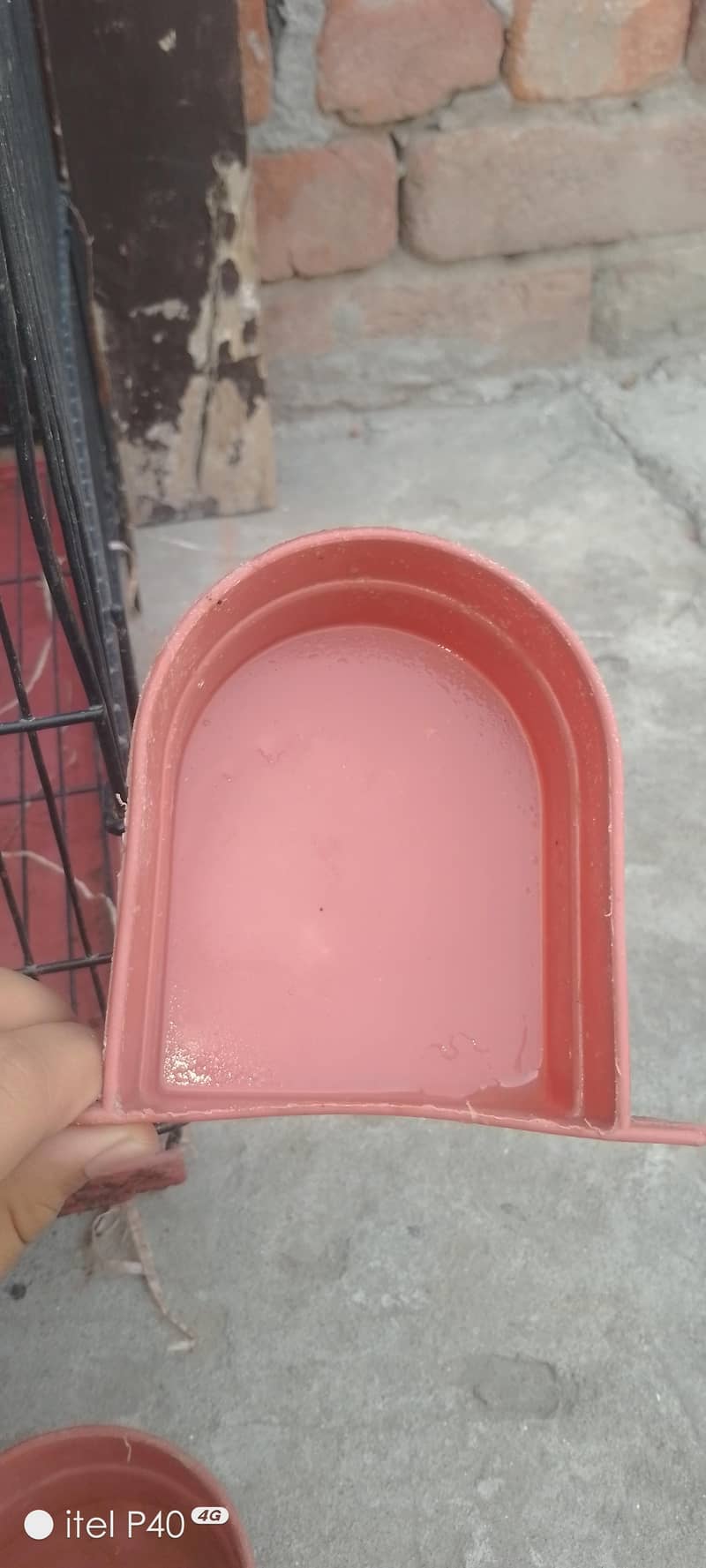 کبوتر طوطے کا مضبوط صاف ستھرا پنجرہ 4