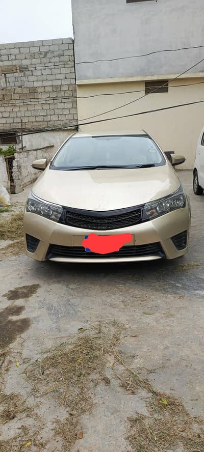 Gli2016