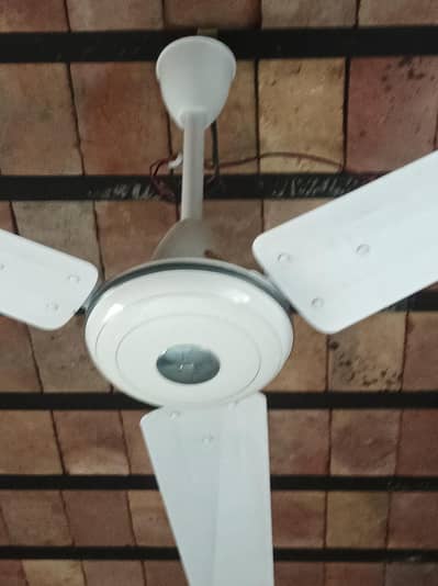 GFC celling fan