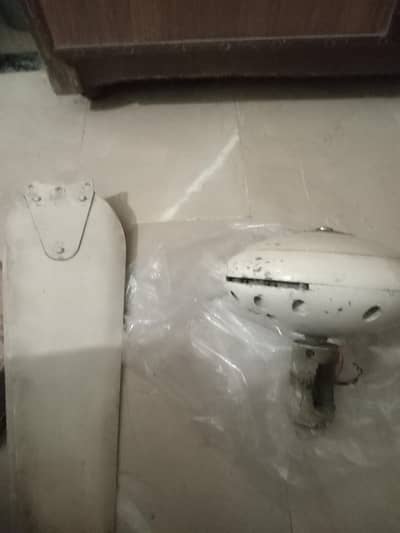 fan for sale coper with silvr body or parr bi chalo ha no fault ha