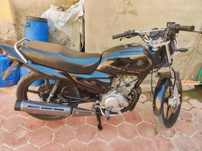 Yamaha Ybz dx 2024/25