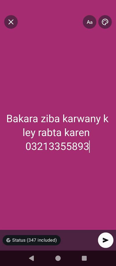 only Lahore bakara ziba karwany k ley rabta karen