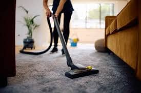 Domestic helper
