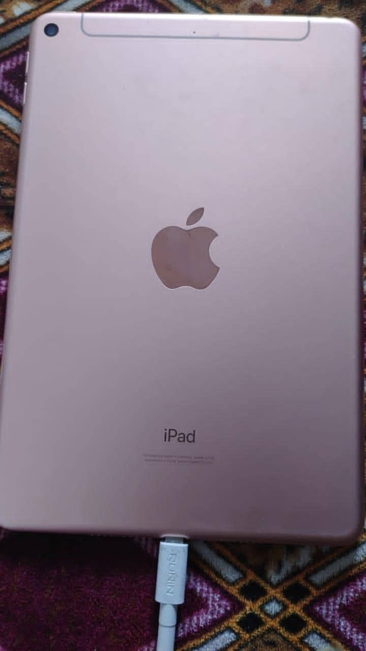 IPAD MINI 5 0