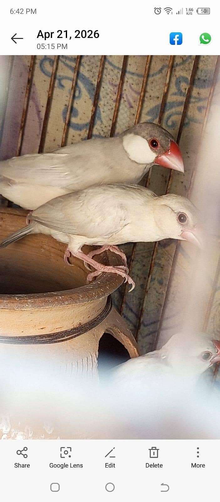 Silver Java for sale. 2