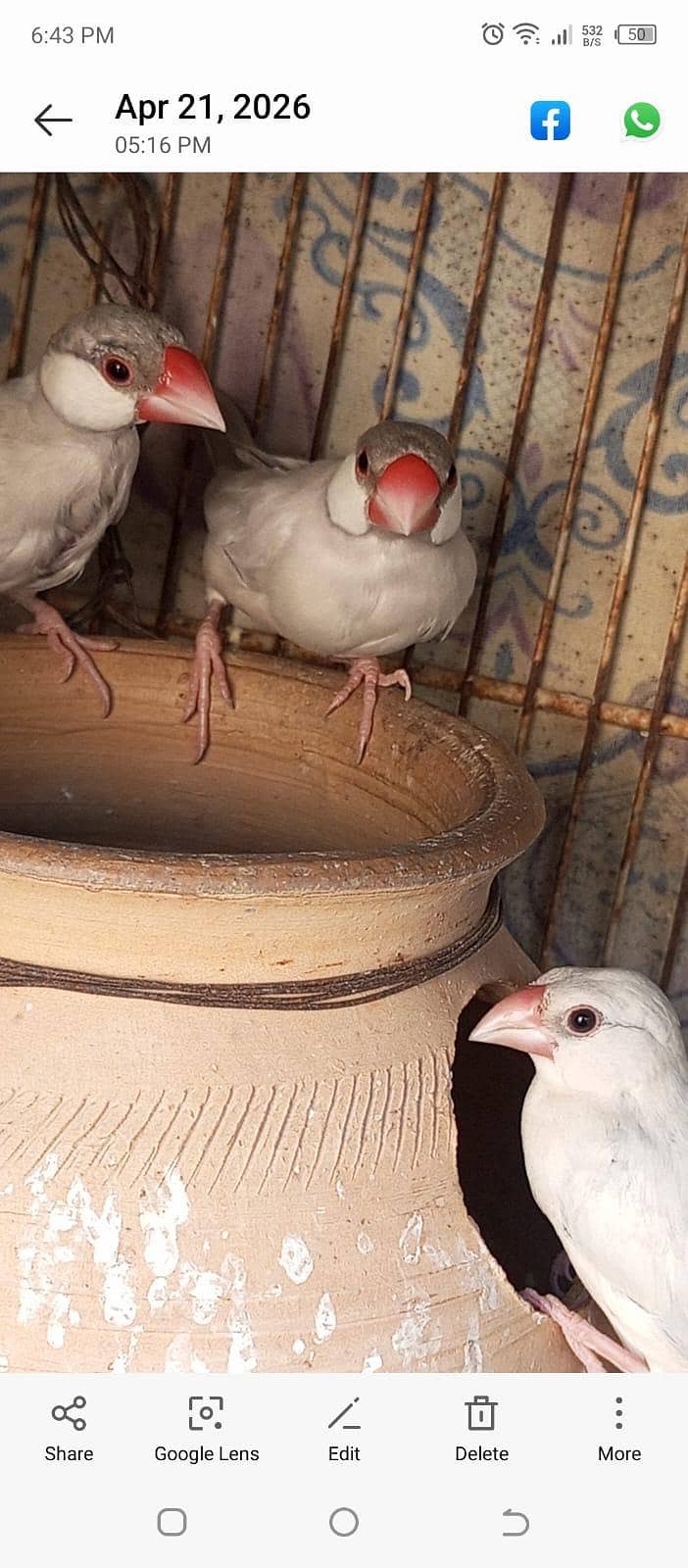 Silver Java for sale. 4