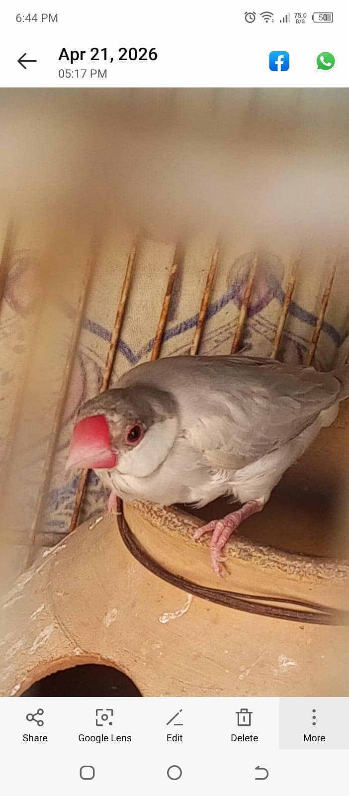 Silver Java for sale. 5