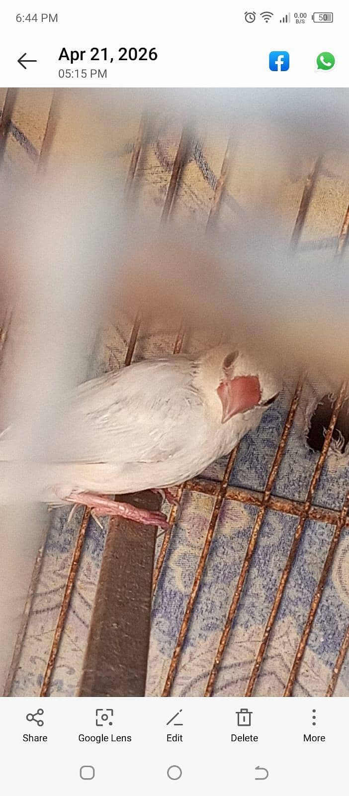Silver Java for sale. 6