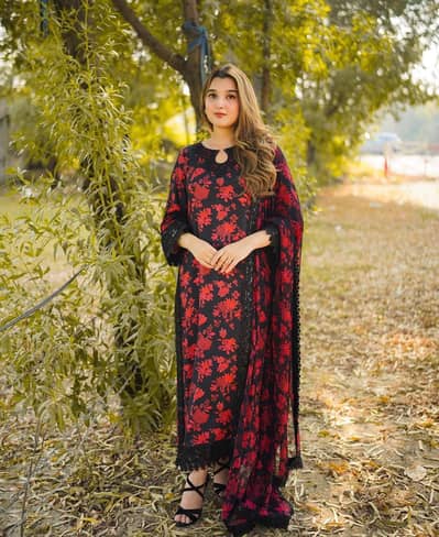 Aneela’s Barand