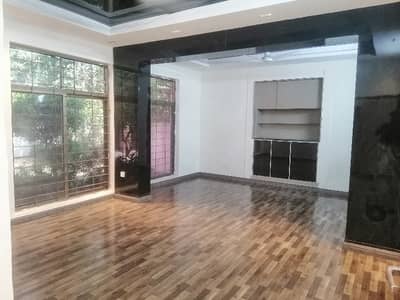 Renovated House