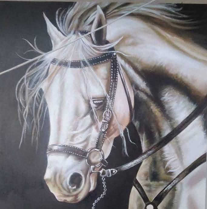 HORSE 0