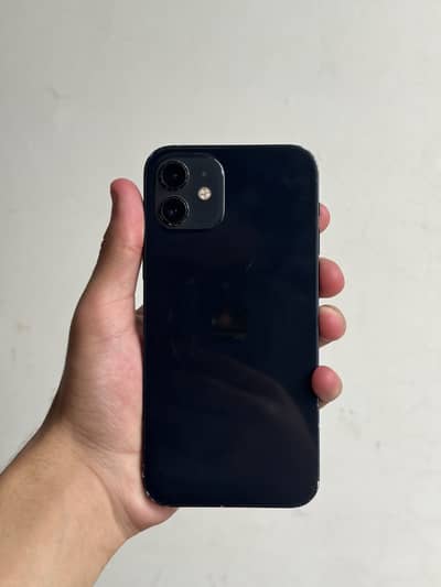 iPhone 12
