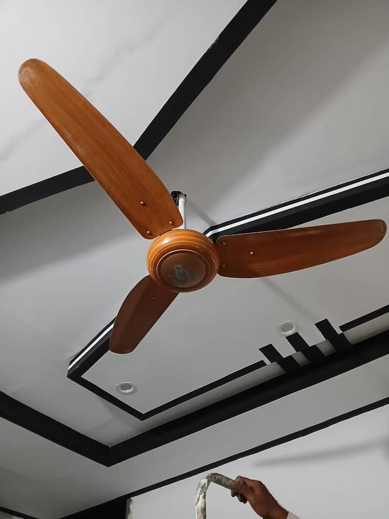 ceiling Fan 1