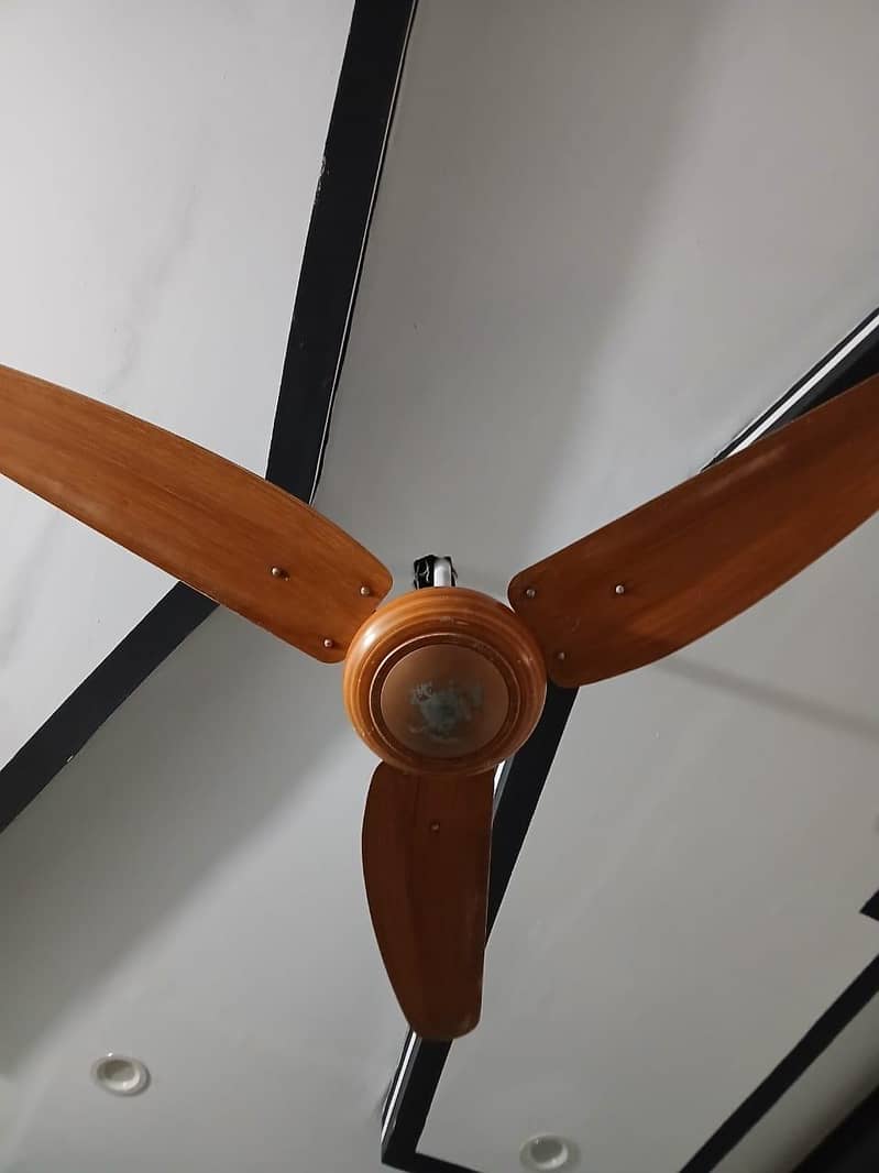 ceiling Fan 2