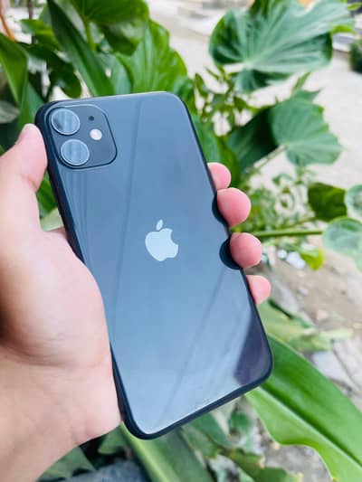 Iphone 11 (JV)