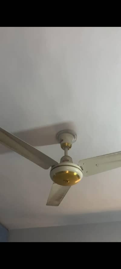 ceiling Fan For Sale