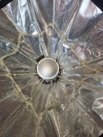 octa plus beauty dish plus Hood